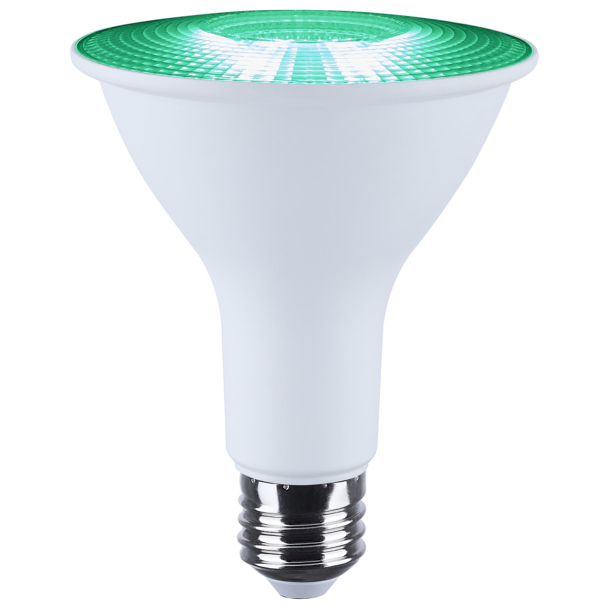 Dimmable 13 Watt 2700K LED Light Bulb,