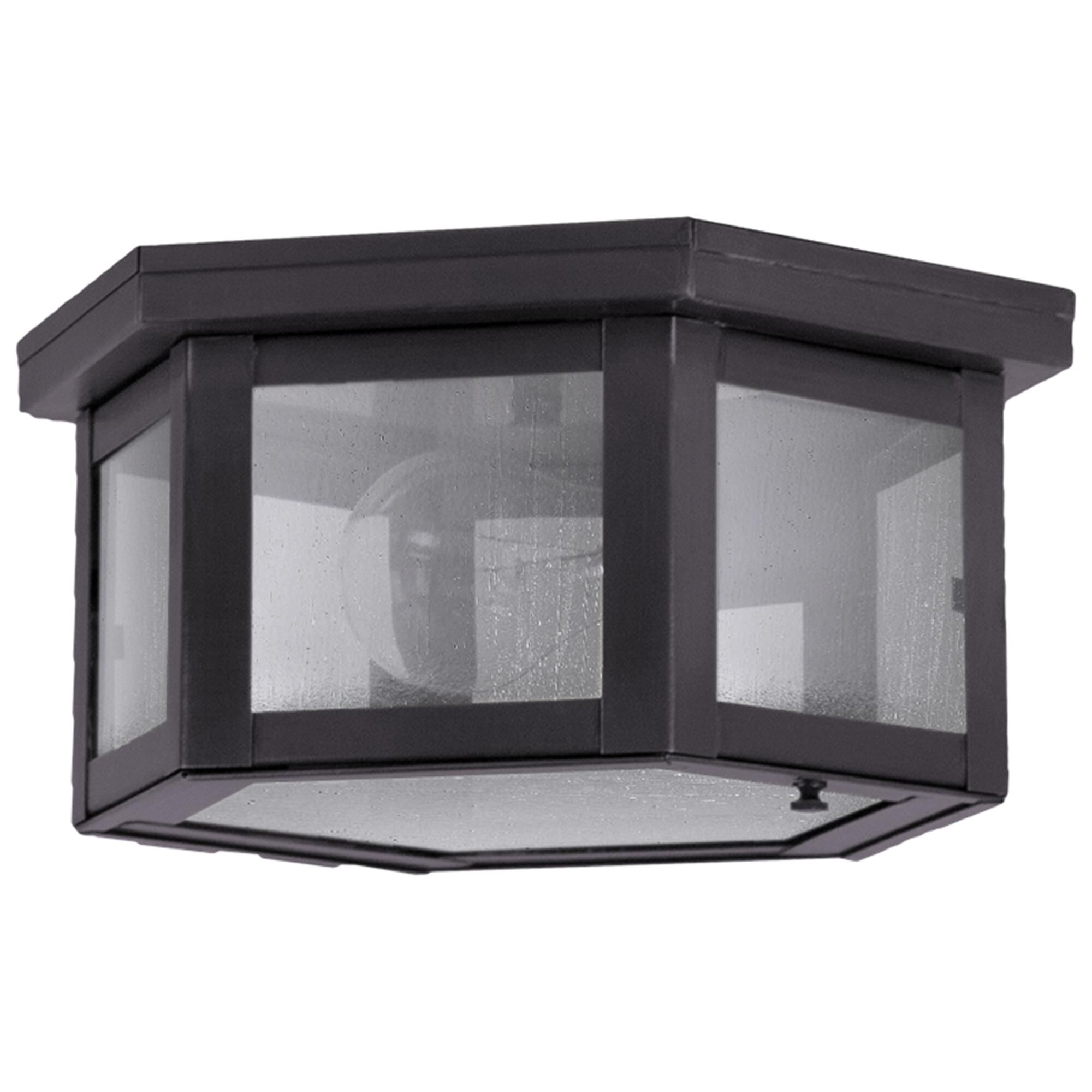 Williams 10 Inch Outdoor Flush Mount,