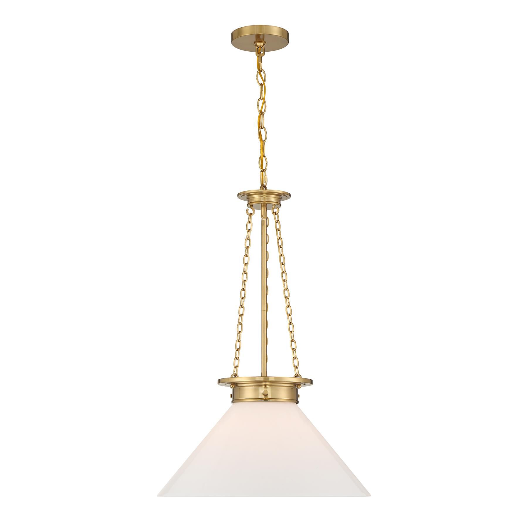 Myers 18 Inch Large Pendant by Savoy House
