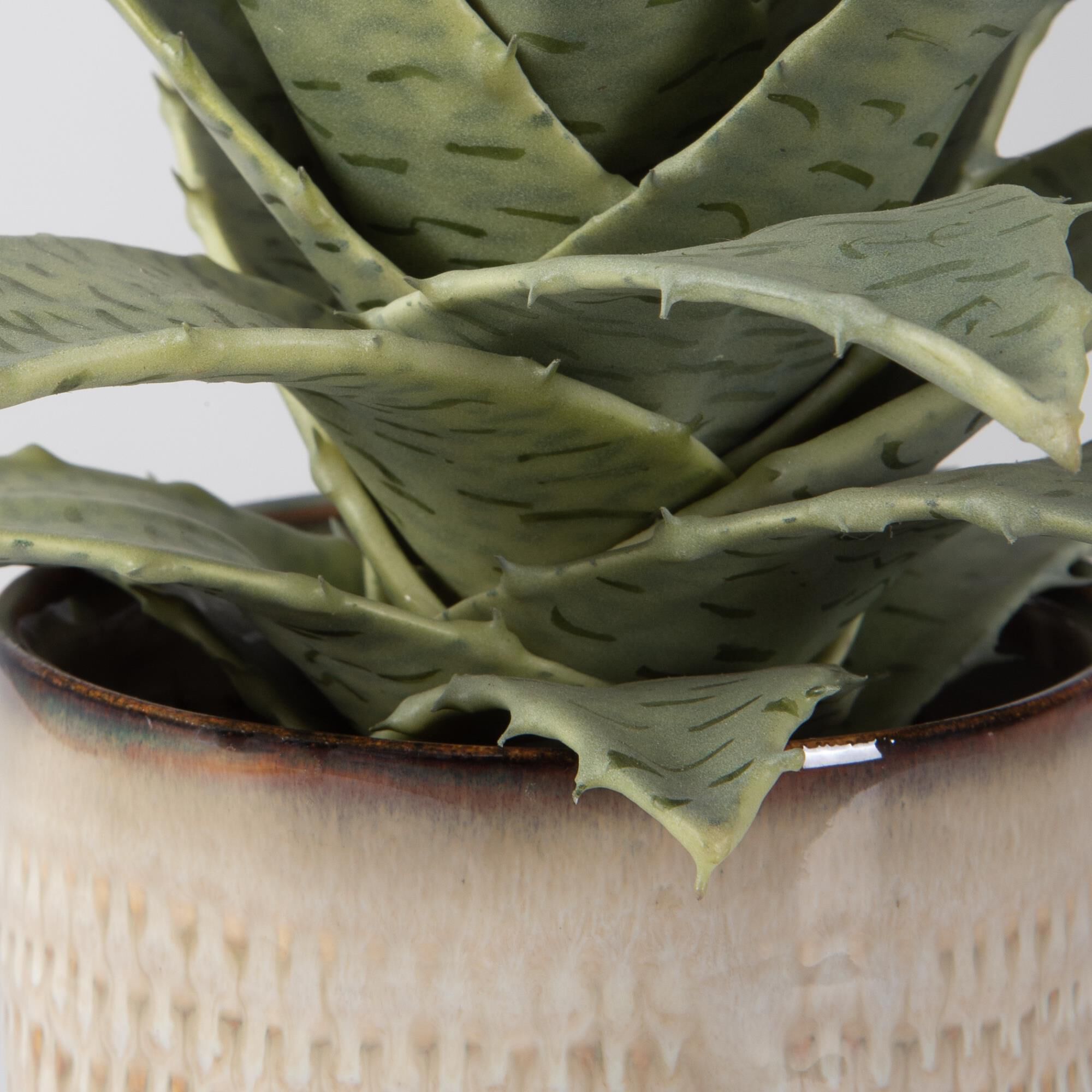 Shown in A Refreshing Blend Of Spiked Succulents Set Into Textured Ceramic Containers, Glazed In Neutral Tan  finish