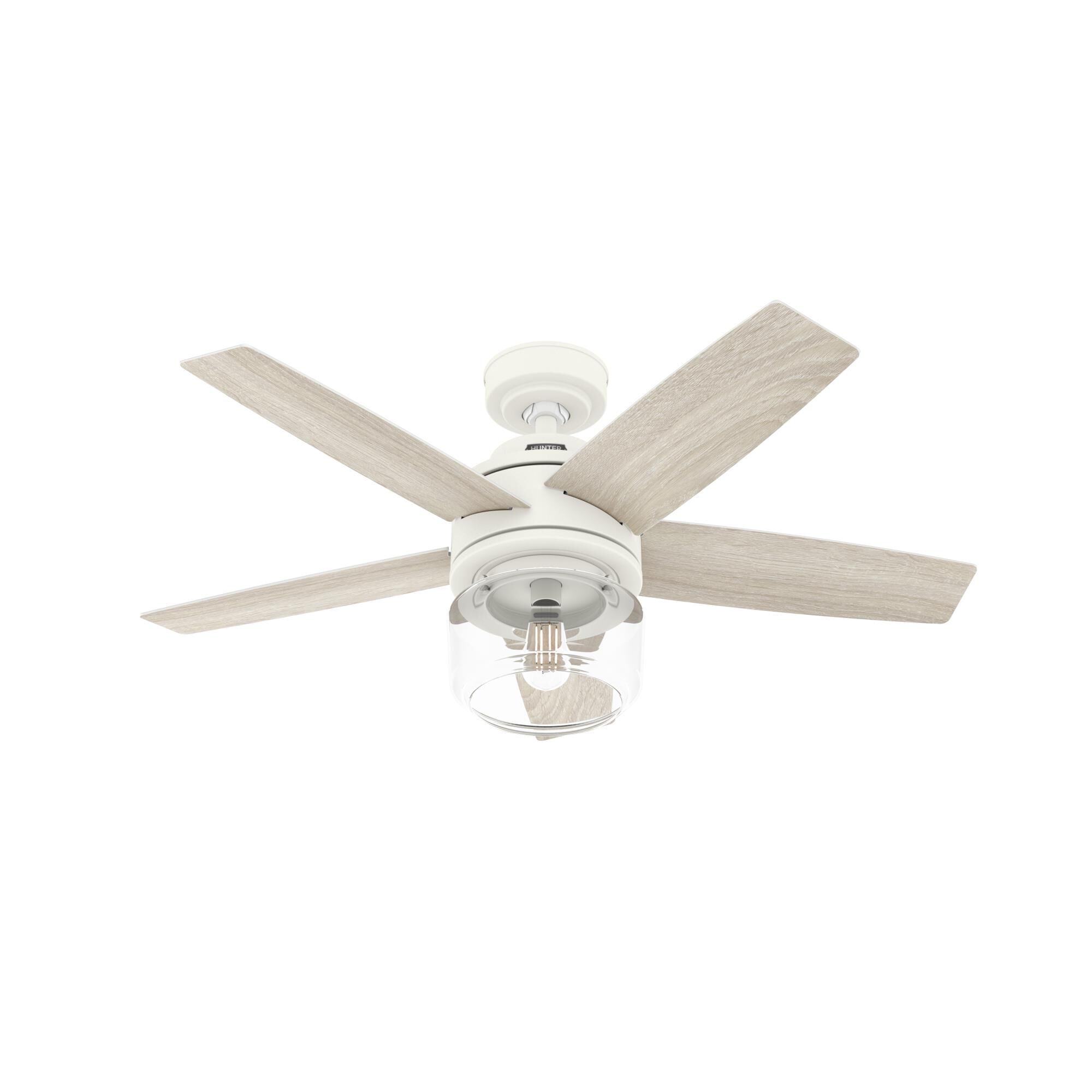 Margo Ceiling Fan by Hunter Fan