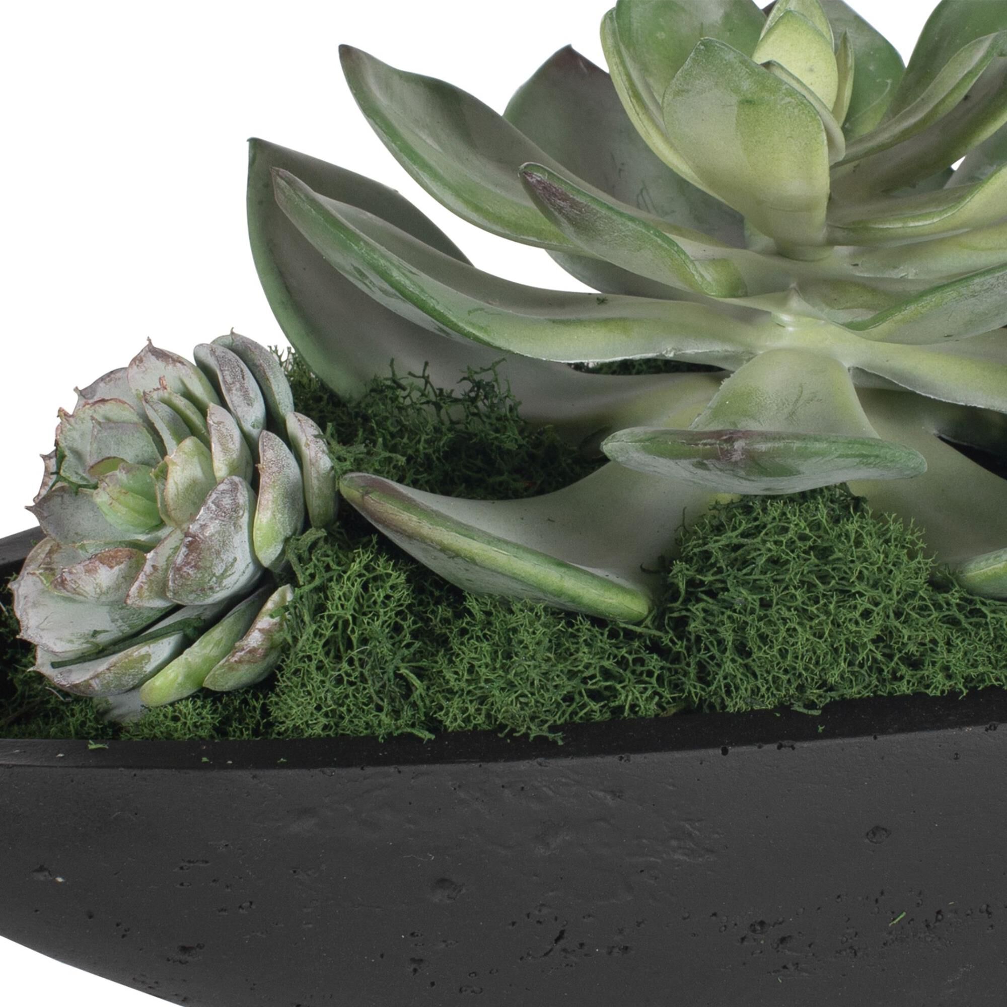 Verde Botanical by Uttermost