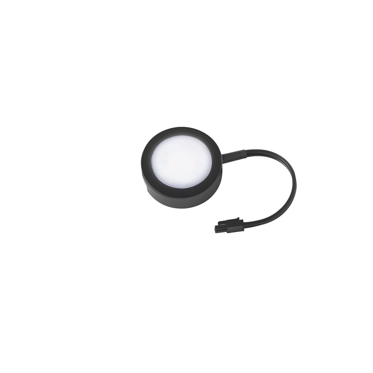 WAC Lighting Wac Ltd Puck 2 Inch LED Puck Light