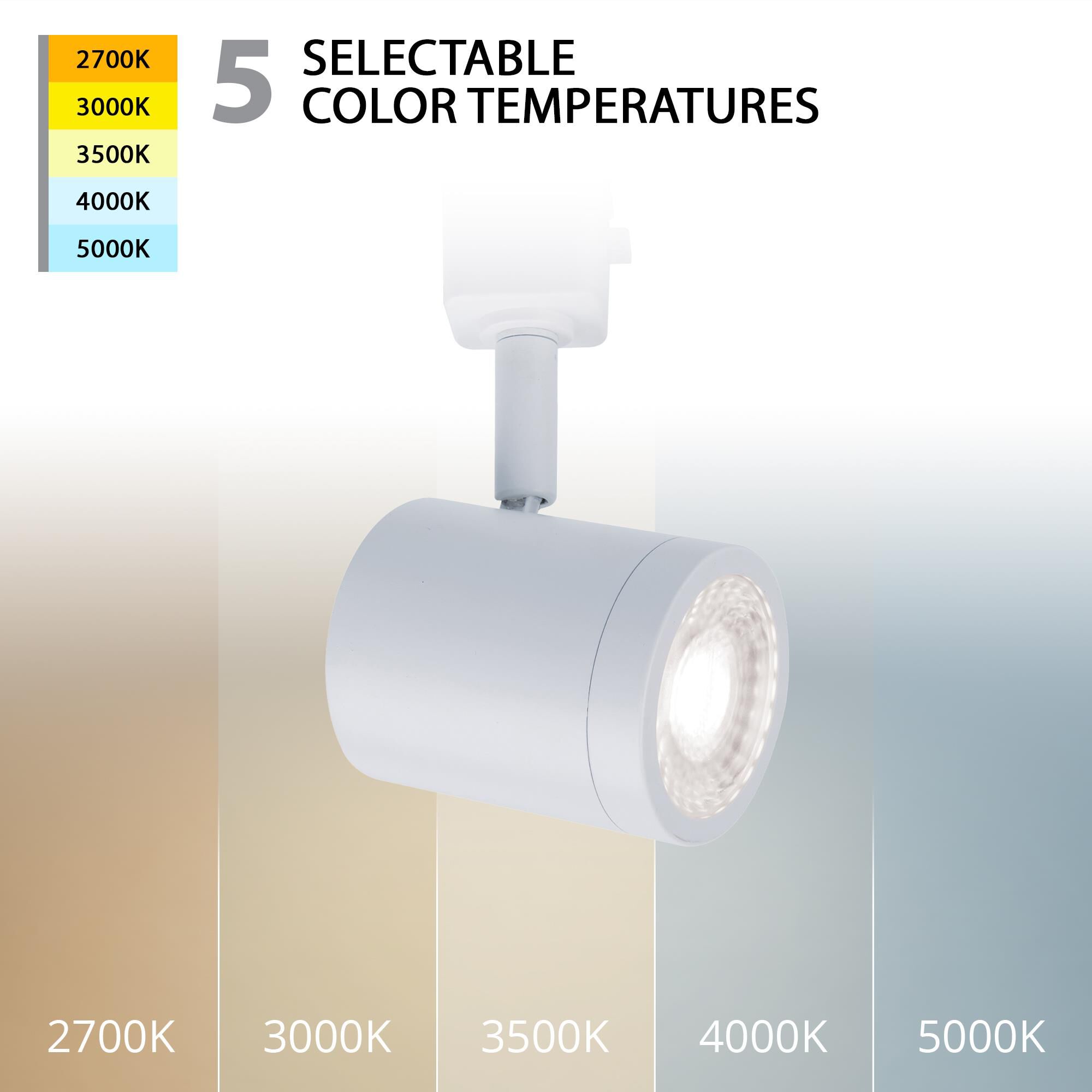 Charge 5 Inch Directional Head Pack of 2 by WAC Lighting