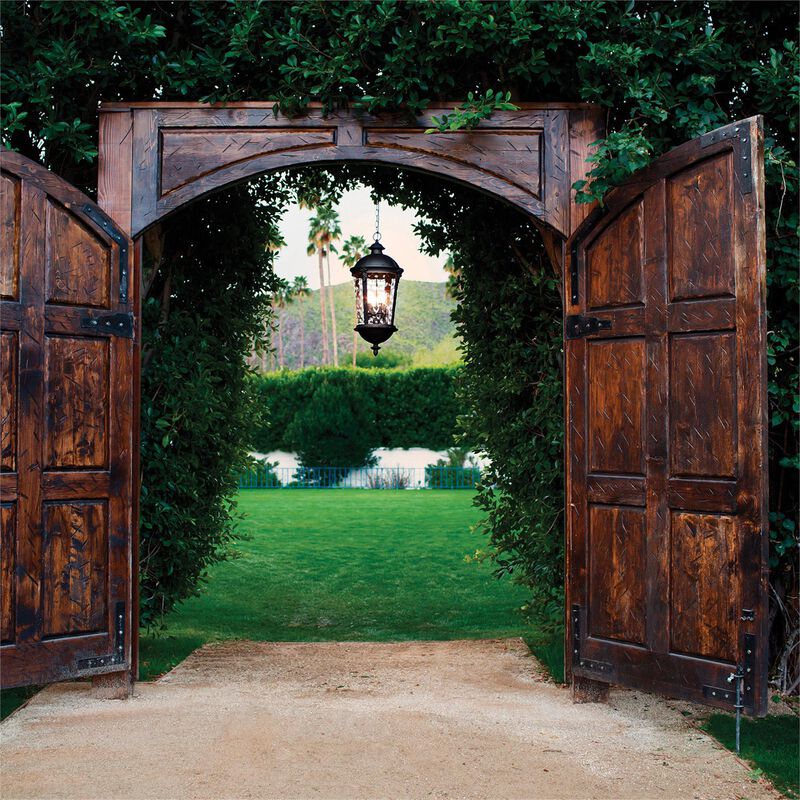Windsor Large Outdoor Hanging Lantern by Hinkley