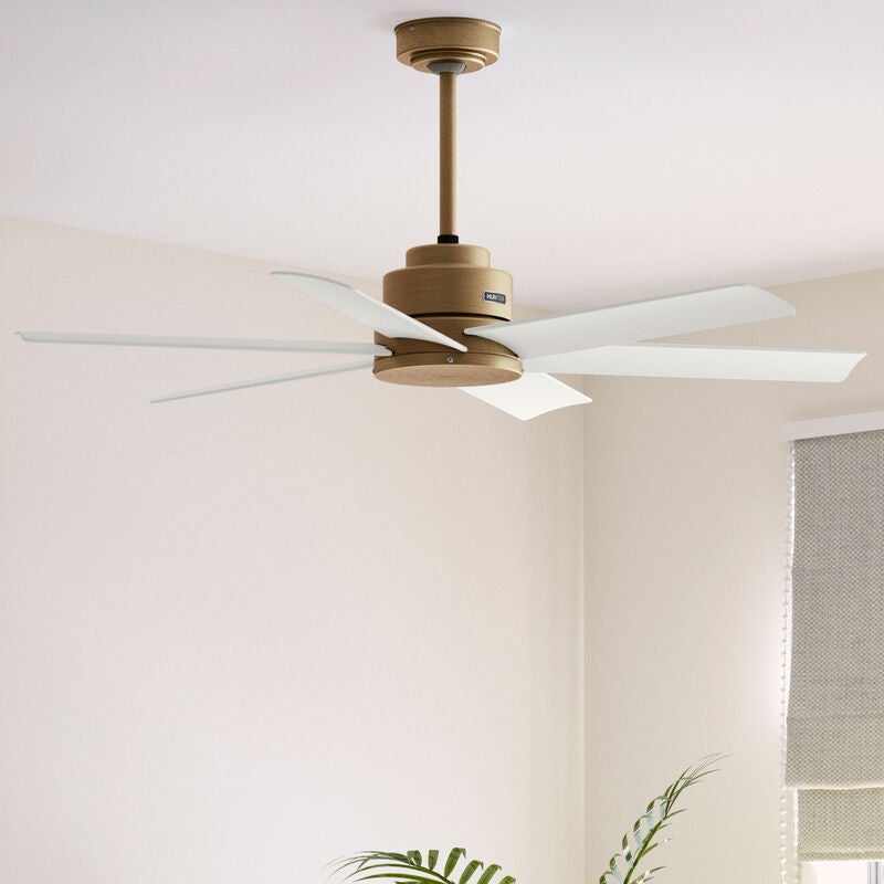 Kennicott 44 Inch Ceiling Fan by Hunter Fan