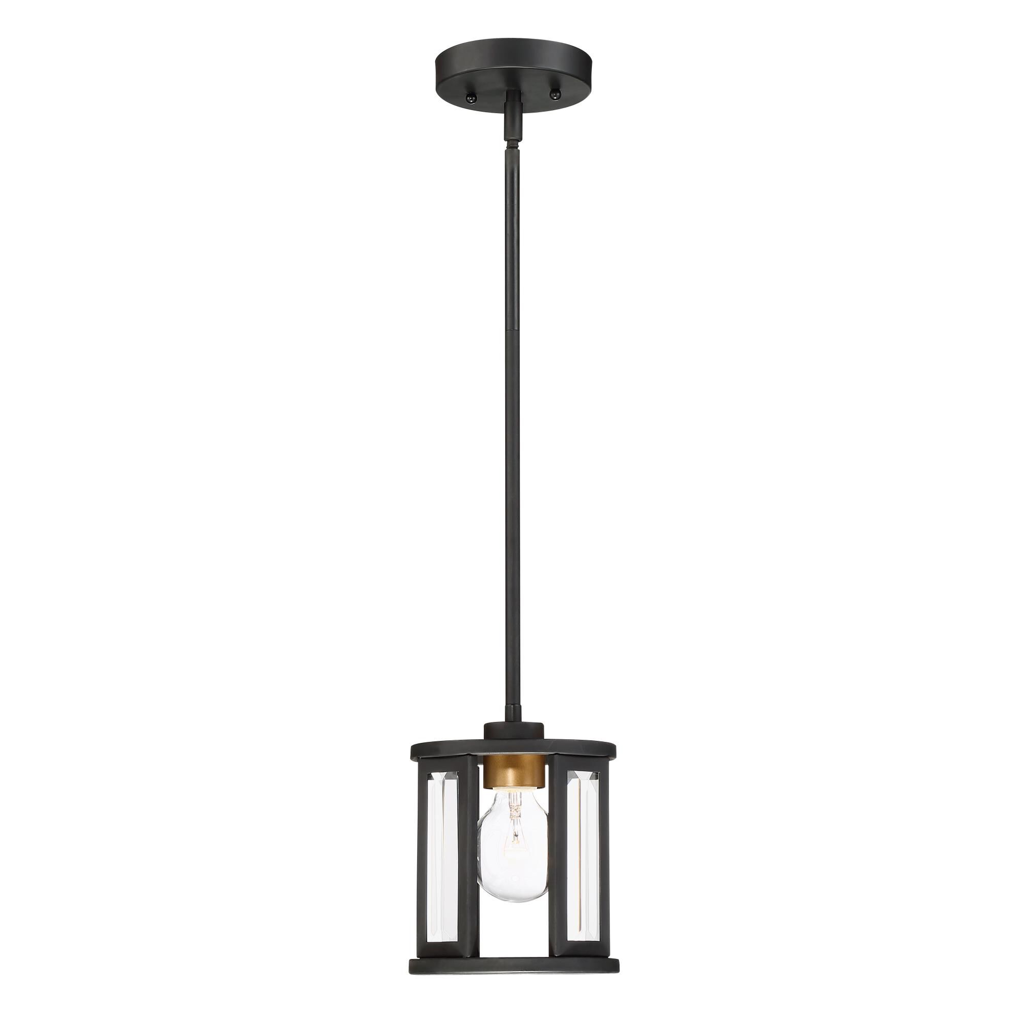 Payne 6 Inch Mini Pendant by Nuvo Lighting