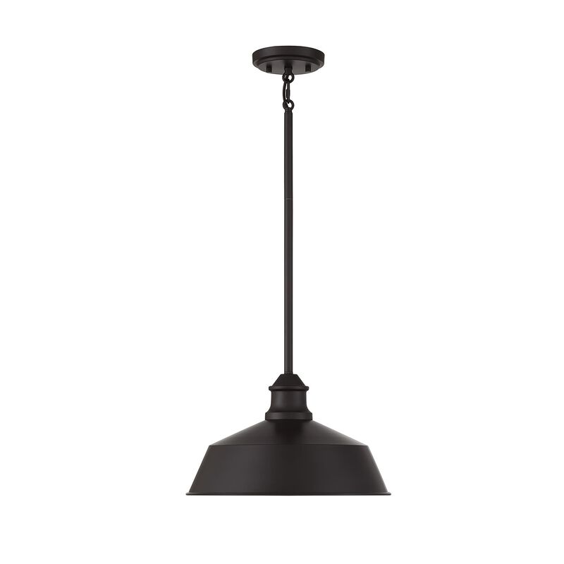 Meridian Lighting 14 Inch LED Large Pendant