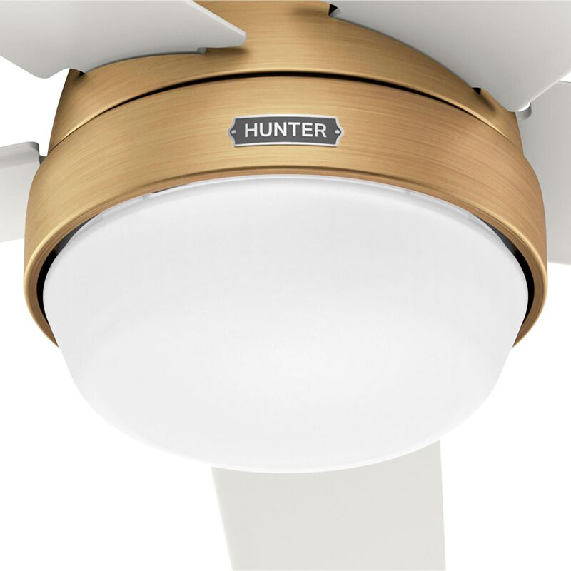 Aerodyne 60 Inch Ceiling Fan with Light Kit by Hunter Fan