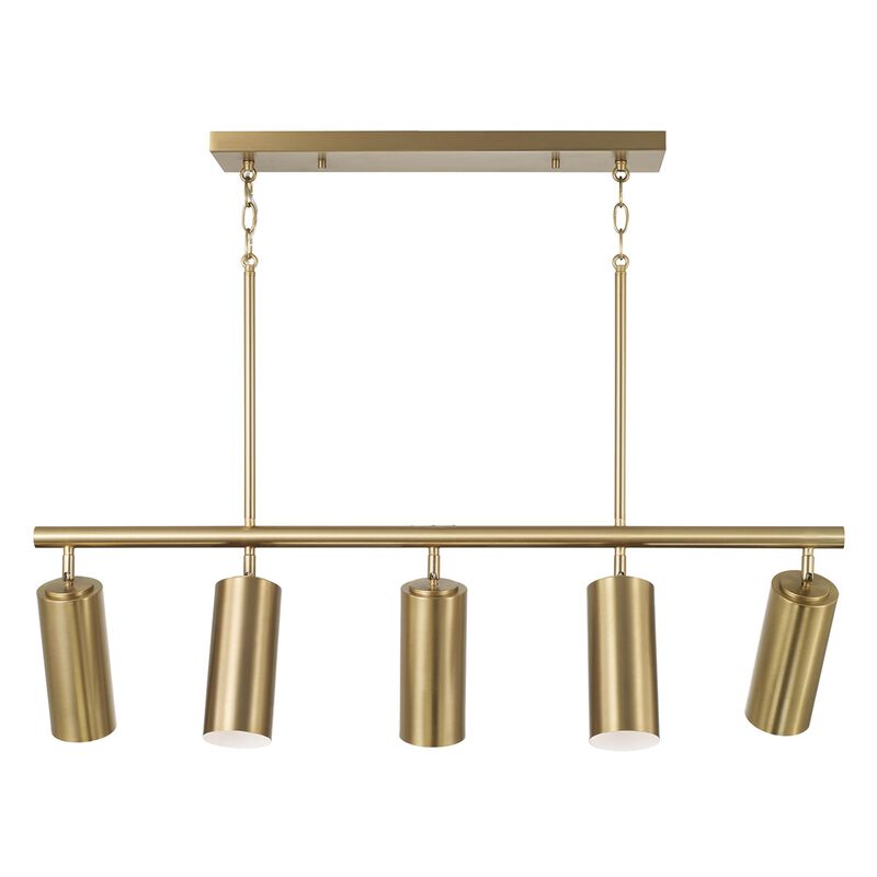 Robbie 40 Inch Linear Suspension Light by Capital Lighting