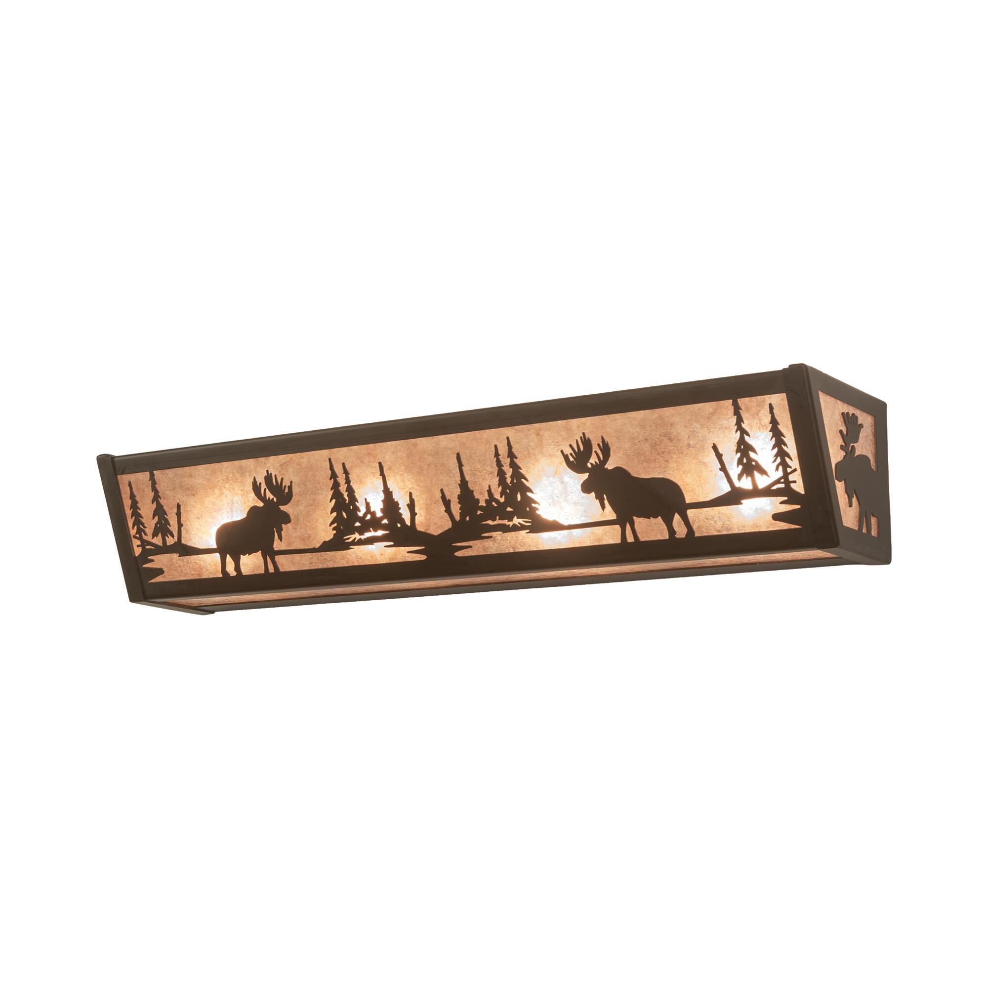 24 Inch 4 Light Bath Vanity Light by Meyda Lighting