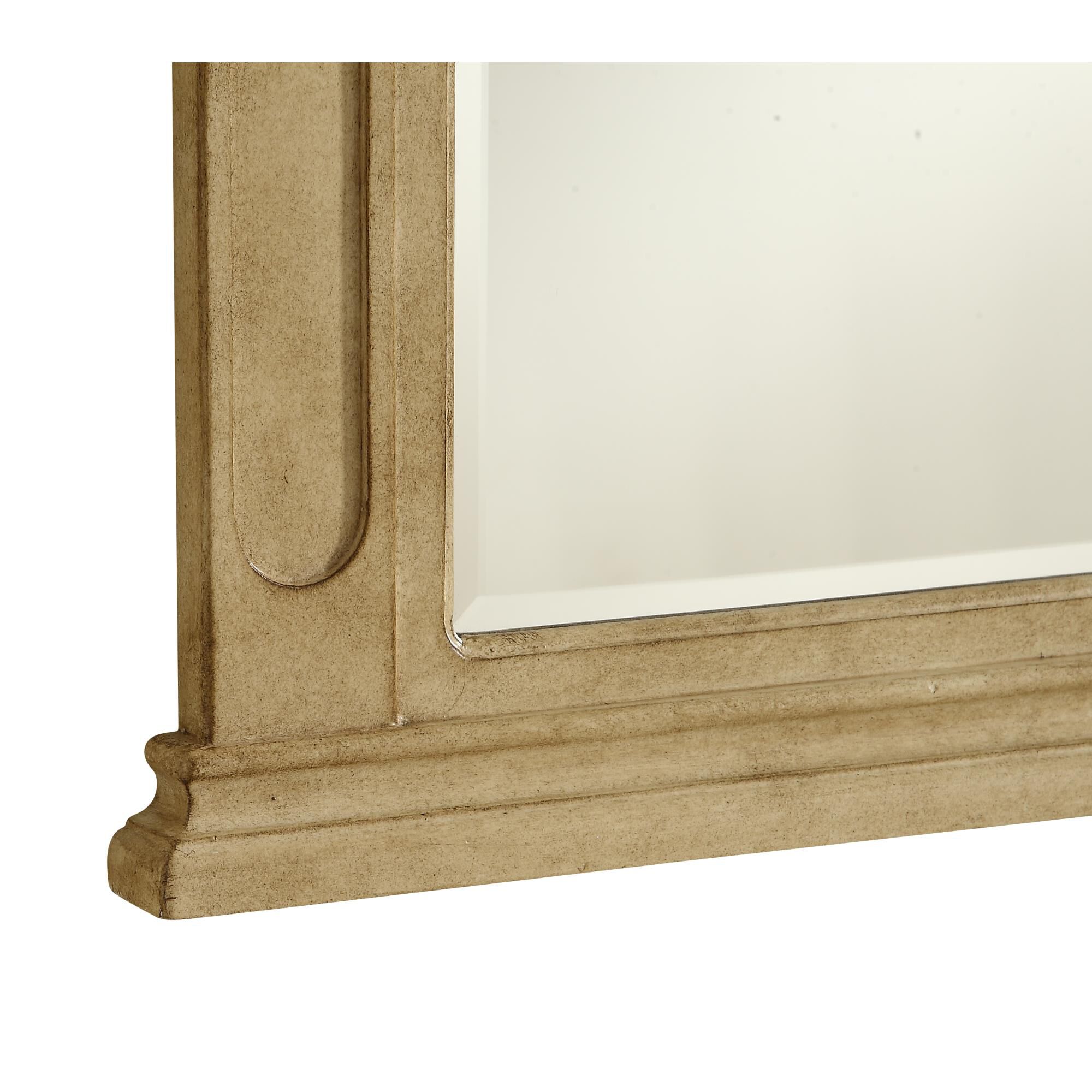 Danville Decorative Mirrors by Elegant Decor