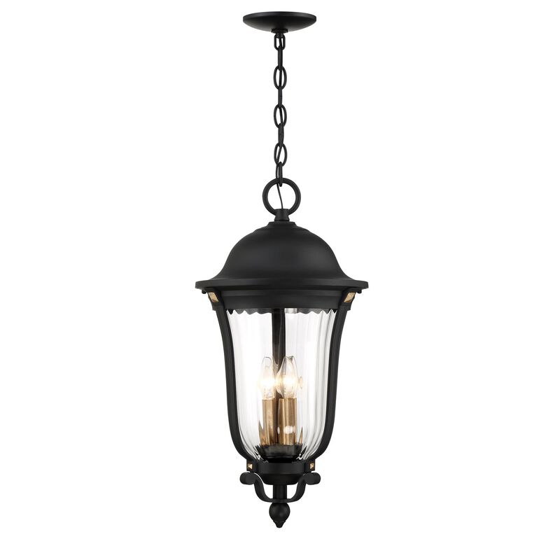 Peale Street Large Outdoor Hanging Lantern by Minka Lavery