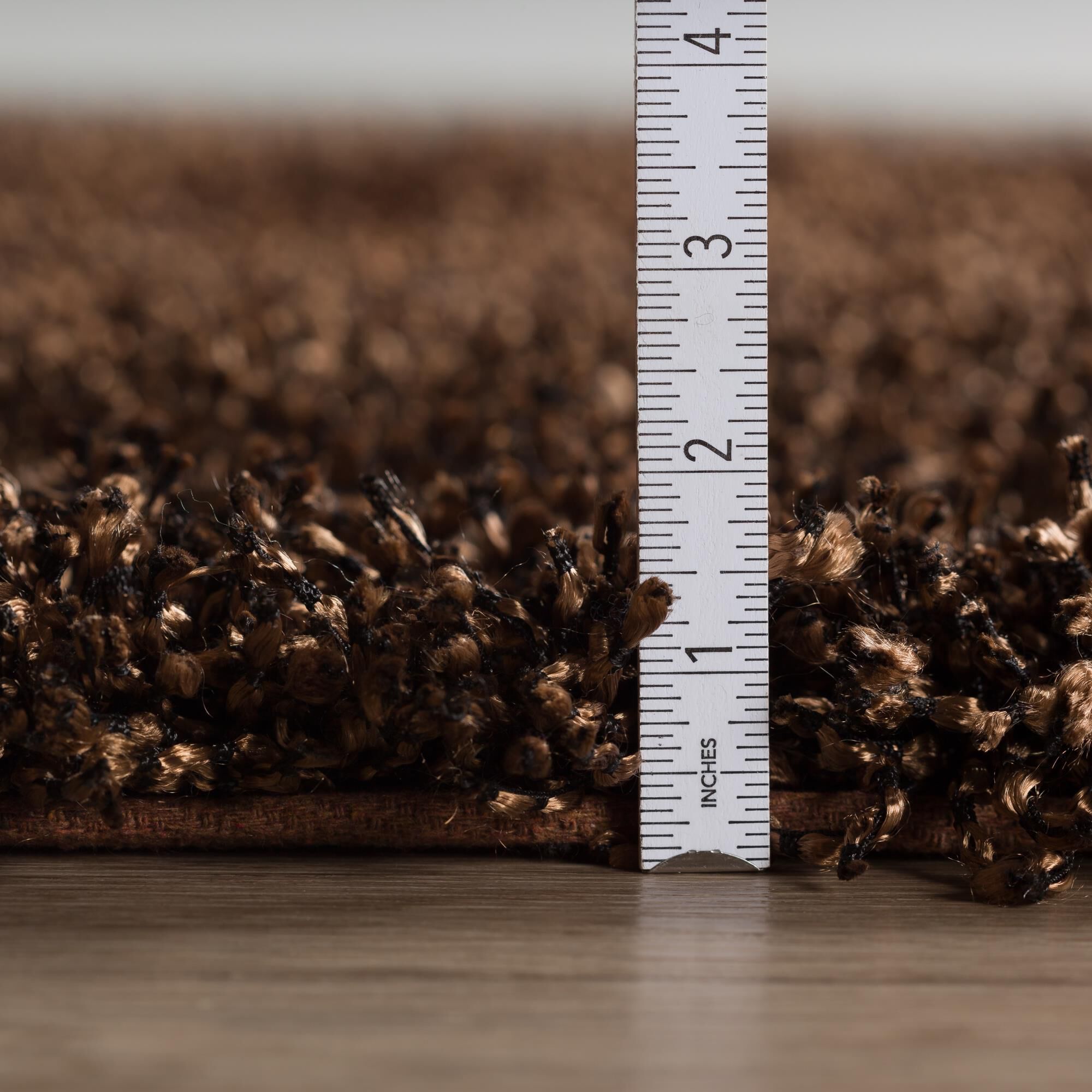 Belize BZ100 Area Rug,