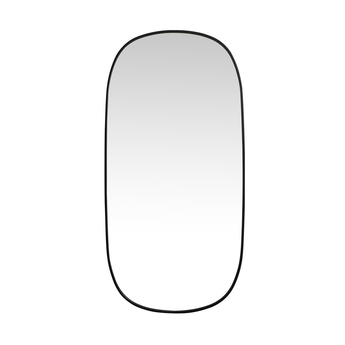 Brynn 60 Inch Decorative Mirror by Elegant Decor