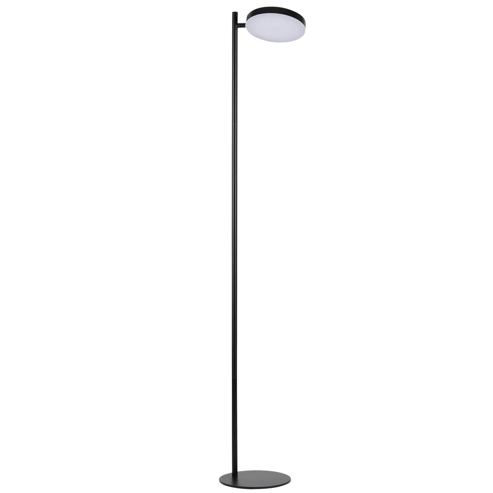 Fia 60 Inch Floor Lamp by Dainolite