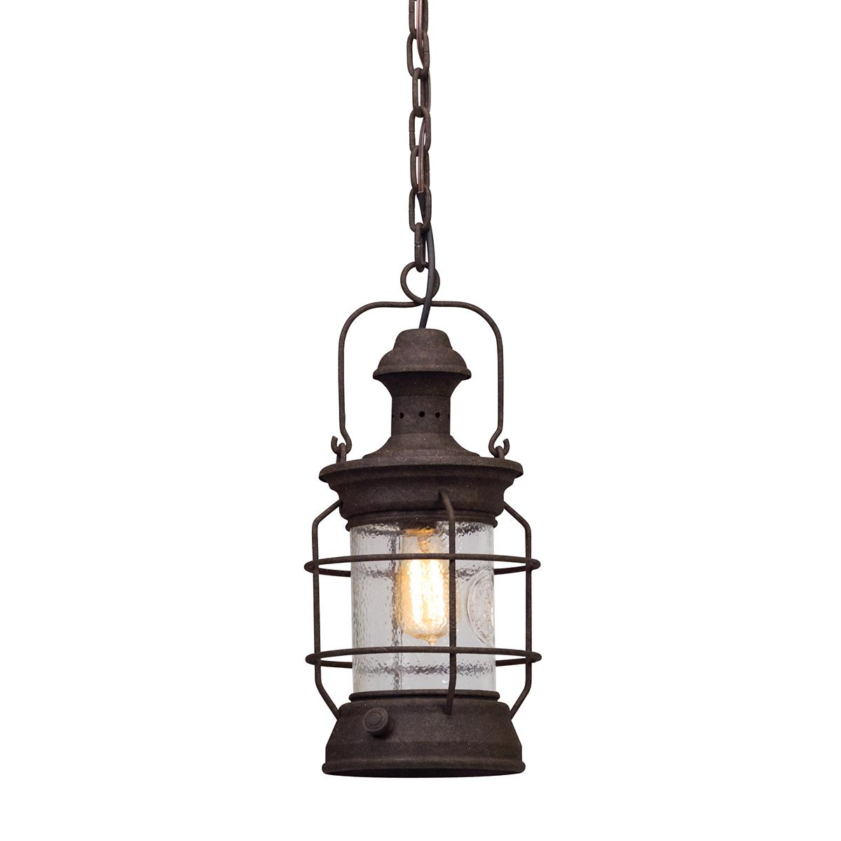 Atkins 8 Inch Outdoor Hanging Lantern by Troy Lighting