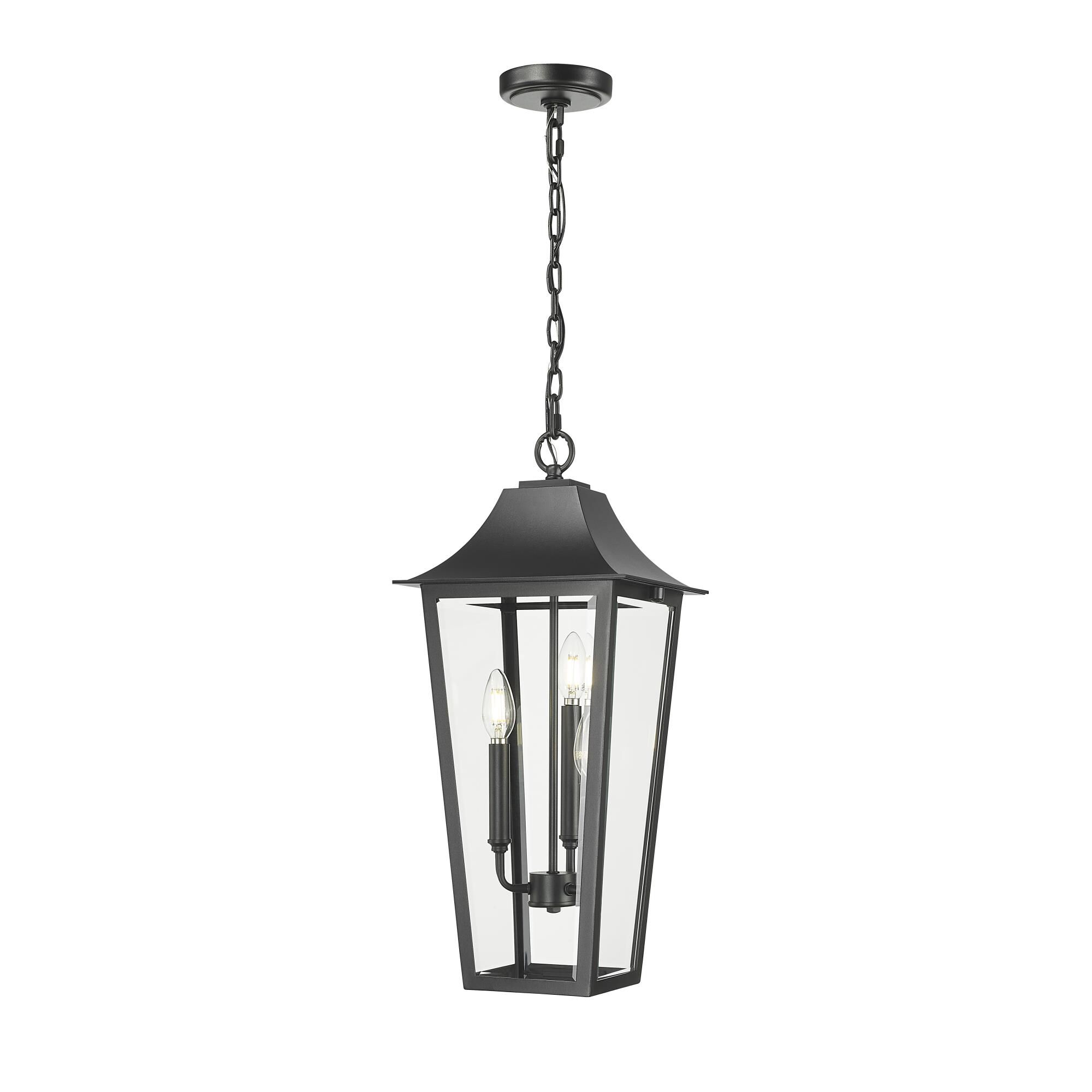 Gannon 10 Inch Outdoor Hanging Lantern by Z Lite