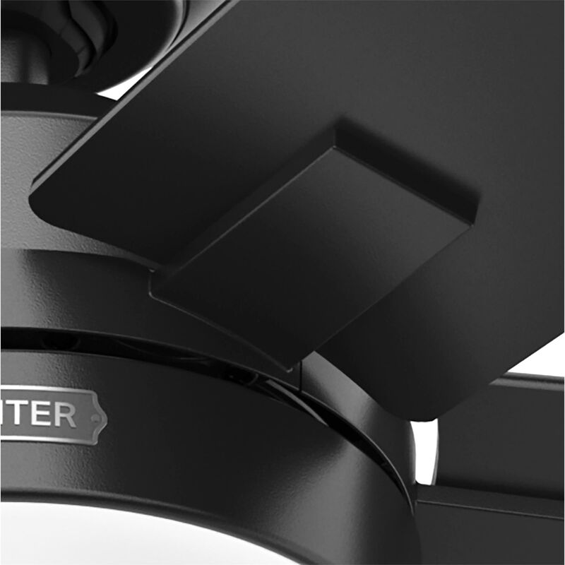Anisten 52 Inch Ceiling Fan with Light Kit by Hunter Fan