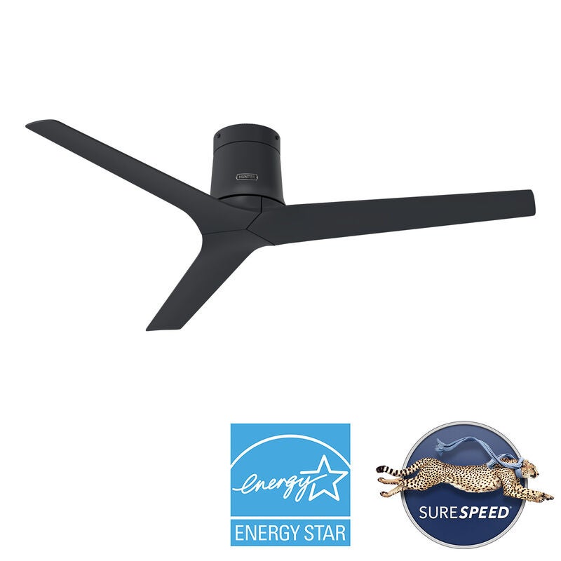 Amara 52 Inch Flush Mount Fan by Hunter Fan