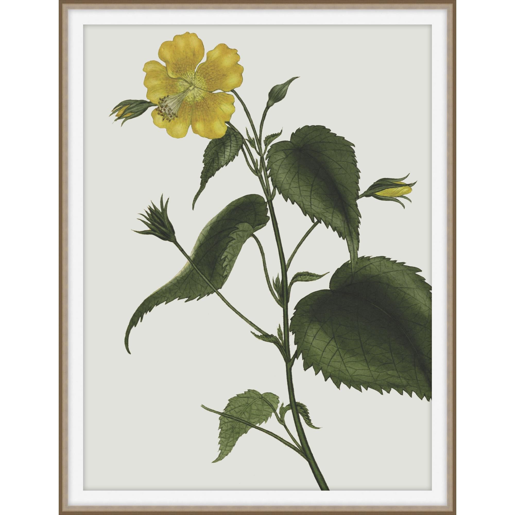 Studio L57 Nouvelle Inviting Bounties Print by LEVEL57