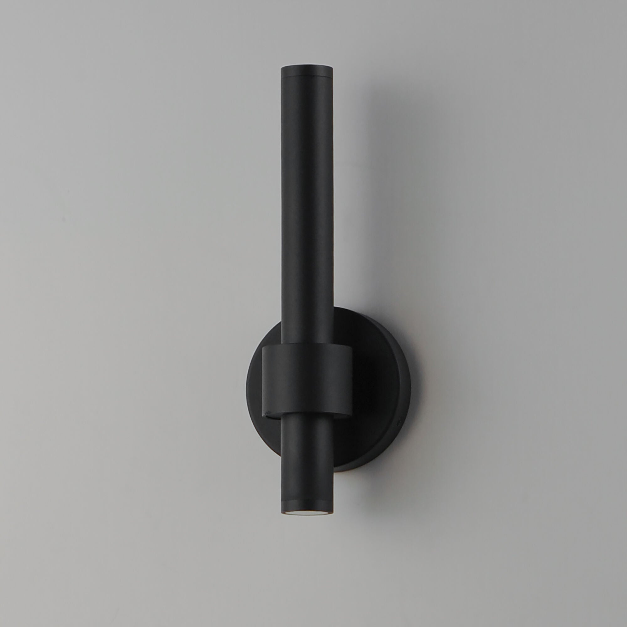 Reveal 14 Inch Outdoor Wall Light,