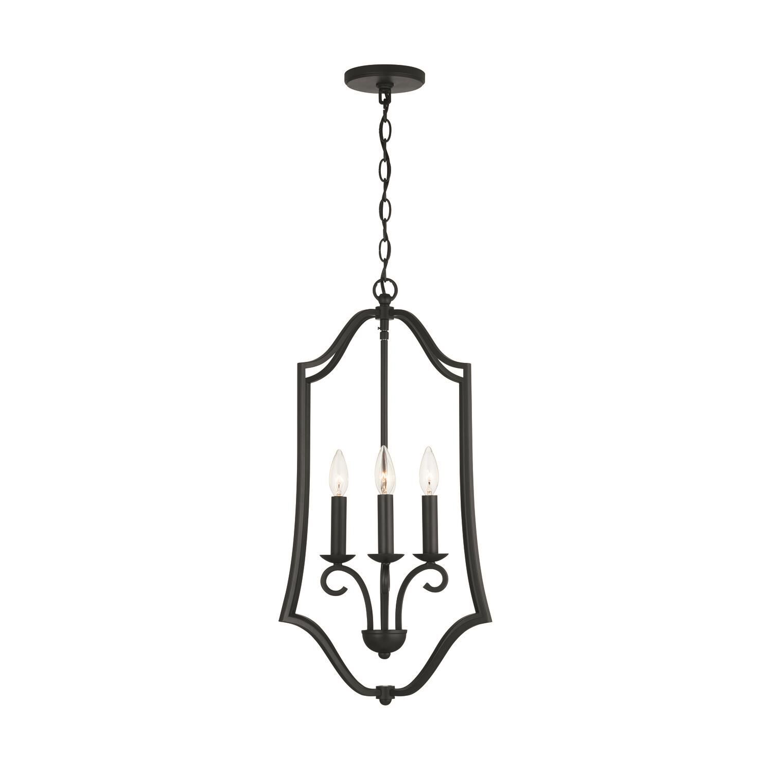 Cameron 17 Inch Cage Pendant by Homeplace by Capital Lighting Fixture Company