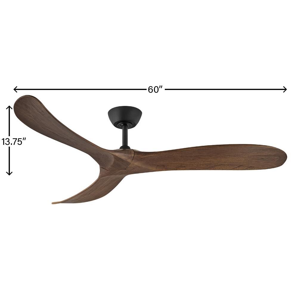 Swell Ceiling Fan by Hinkley Fans