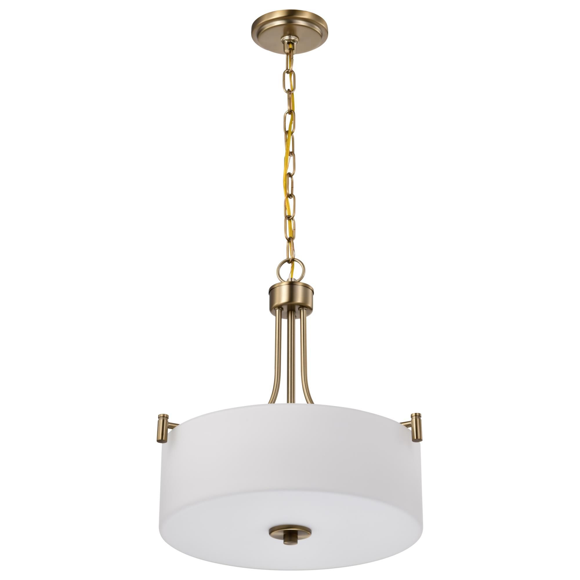 Liam 16 Inch Large Pendant by Nuvo Lighting