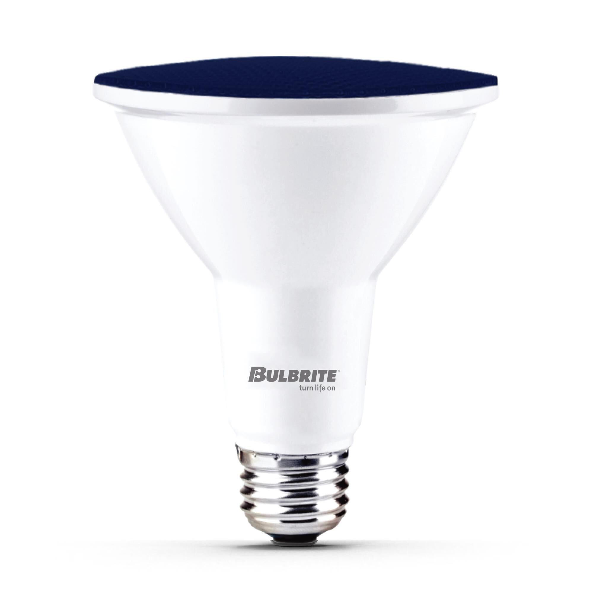 Blue PAR38 Base E26 LED Light Bulb,