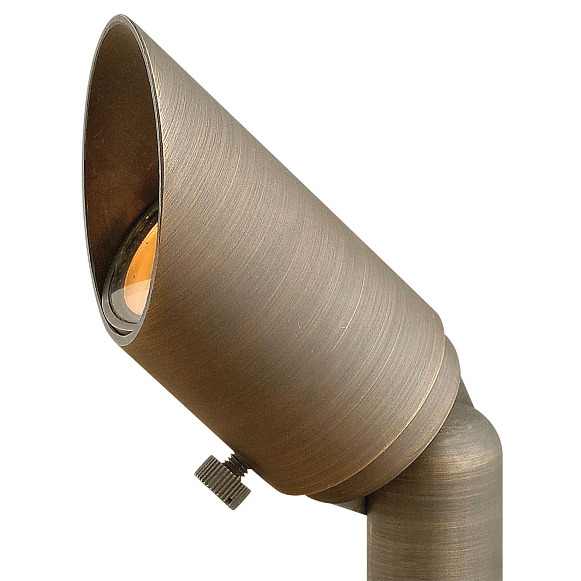 Hardy Island 2 Inch Outdoor Spot Light,
