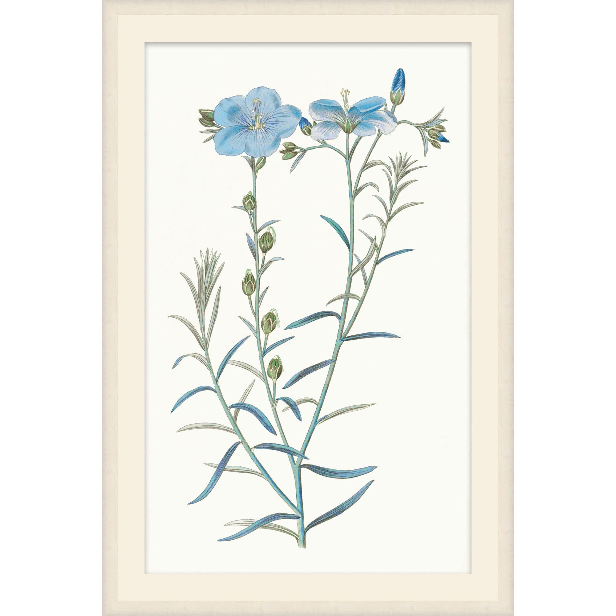 Studio L57 Nouvelle Sapphire Flora Print by LEVEL57