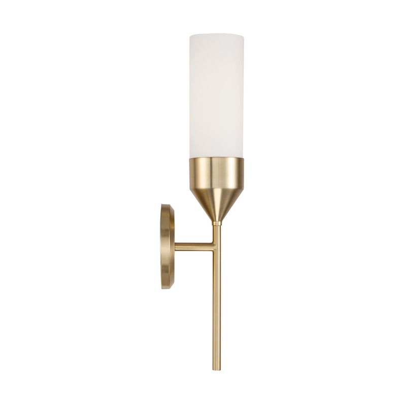 Devon 19 Inch Wall Sconce by Capital Lighting Fixture Company