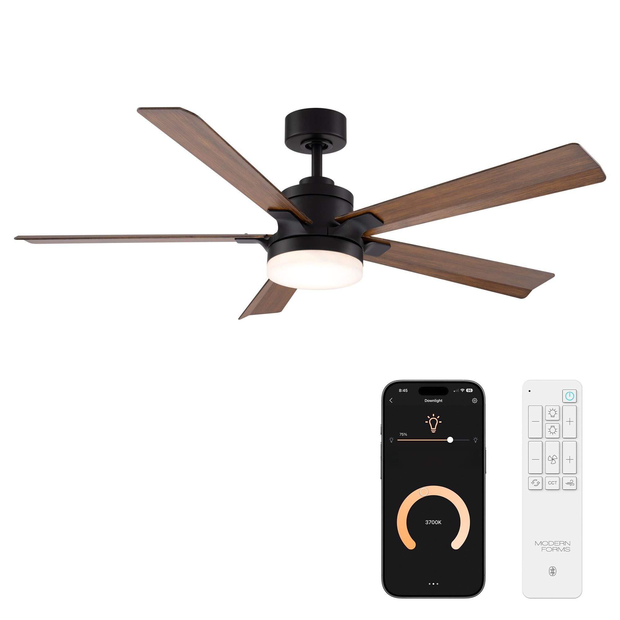 Radiant 56 Inch Ceiling Fan with Light Kit by Modern Forms