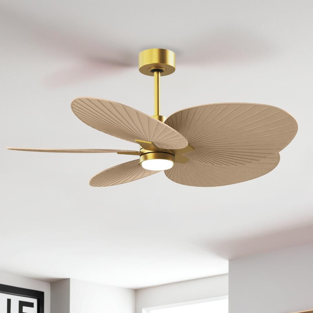 Shown in Brushed Brass finish