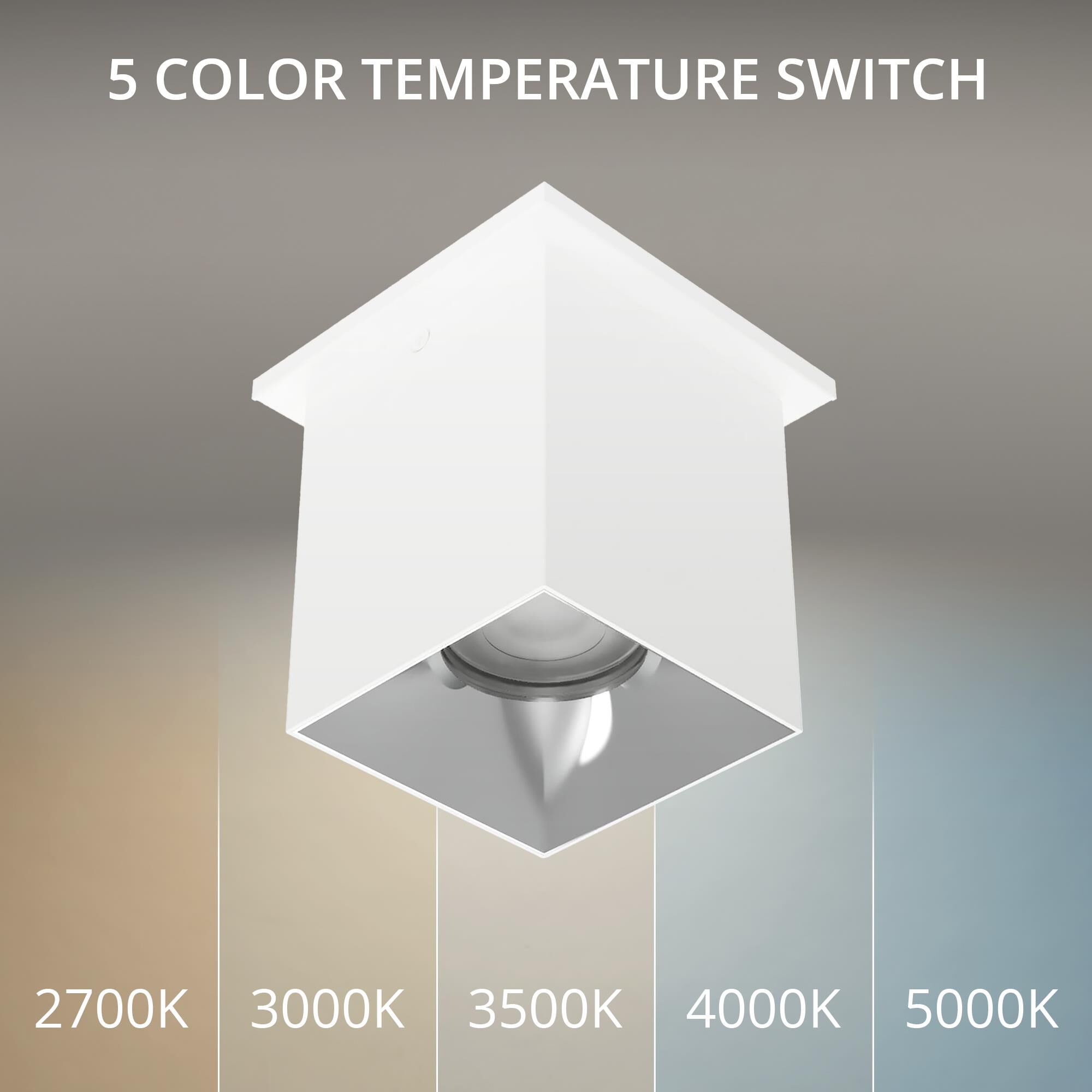 Zoron 5 Inch Outdoor Flush Mount by WAC Lighting