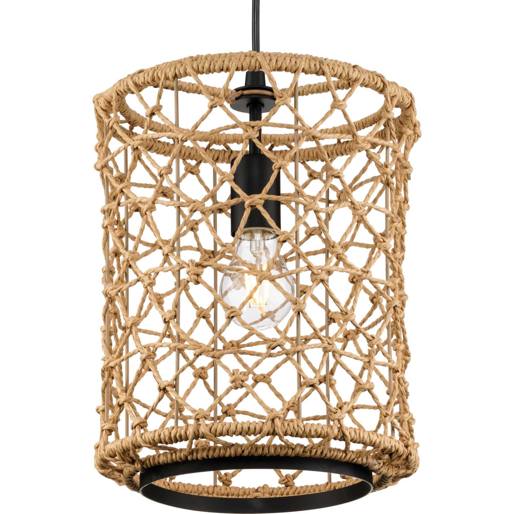Chandra Mini Pendant by Progress Lighting