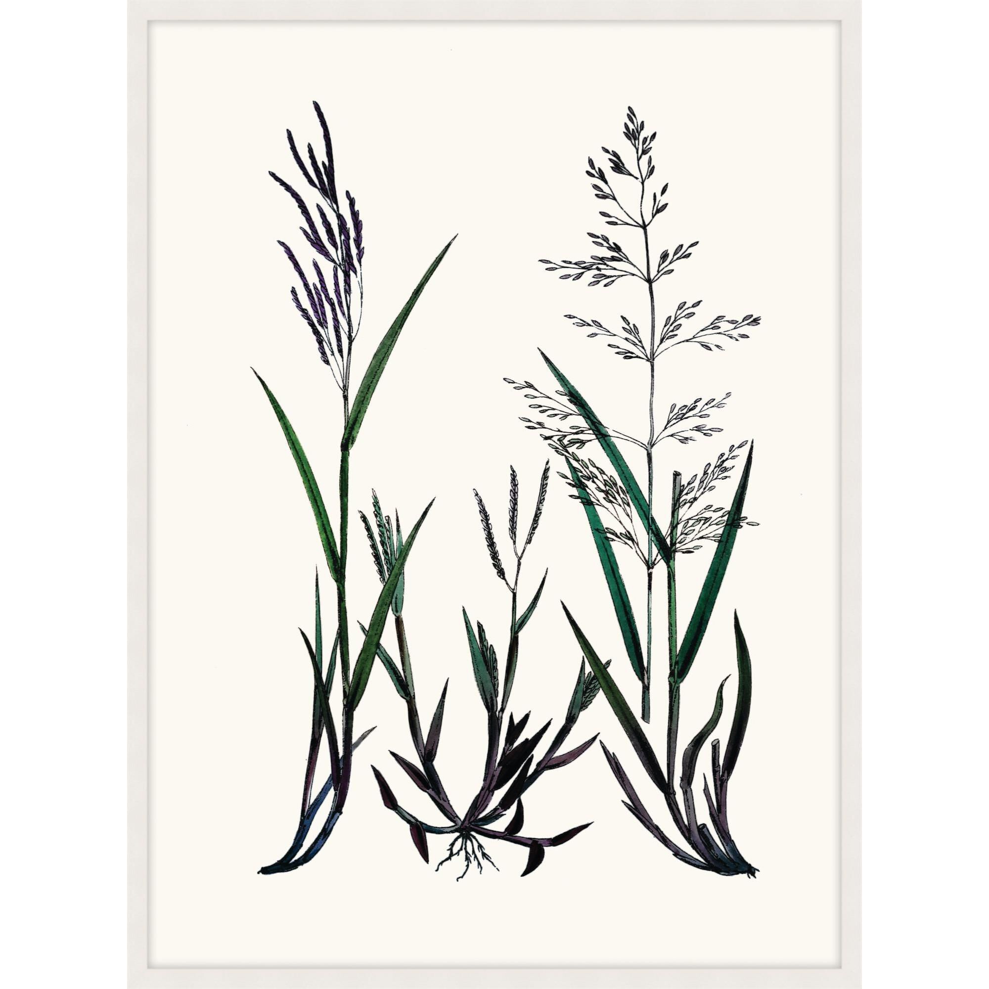 Studio L57 Nouvelle Careful In Contemplation Print by LEVEL57