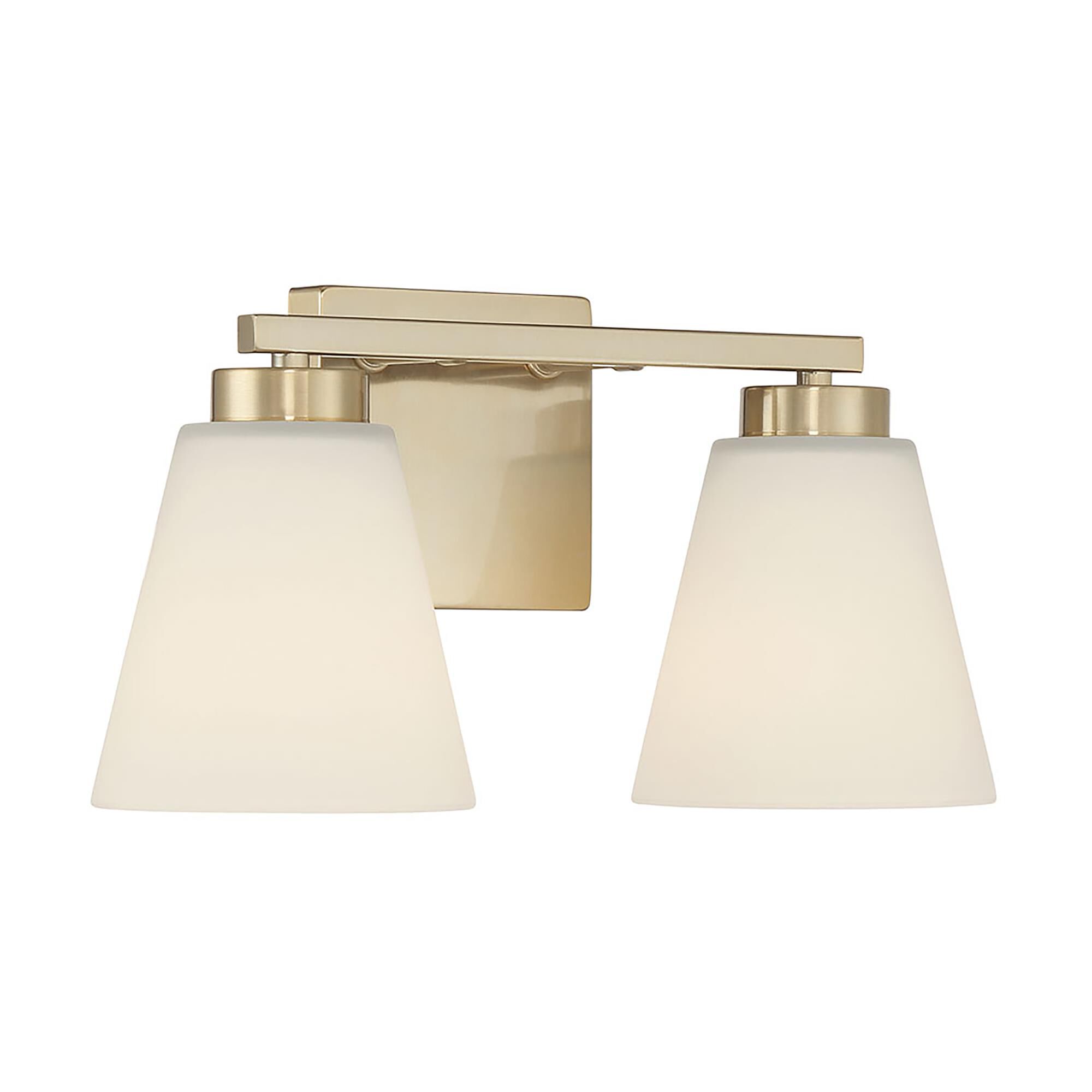 Strayhan 13 Inch Bath Vanity Light by Millennium Lighting