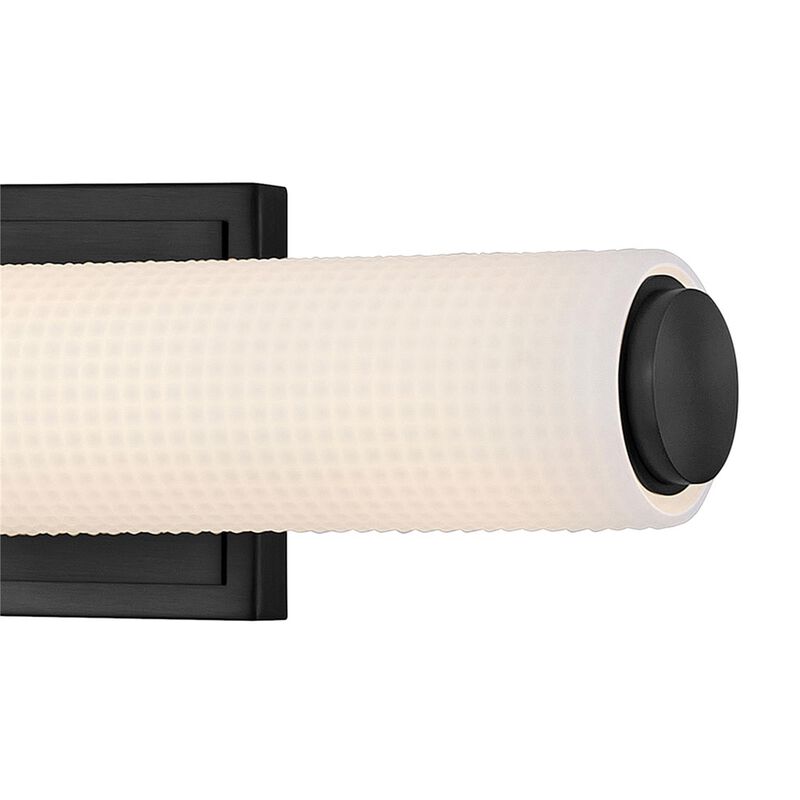 Lottie Large Wall Sconce by Hinkley