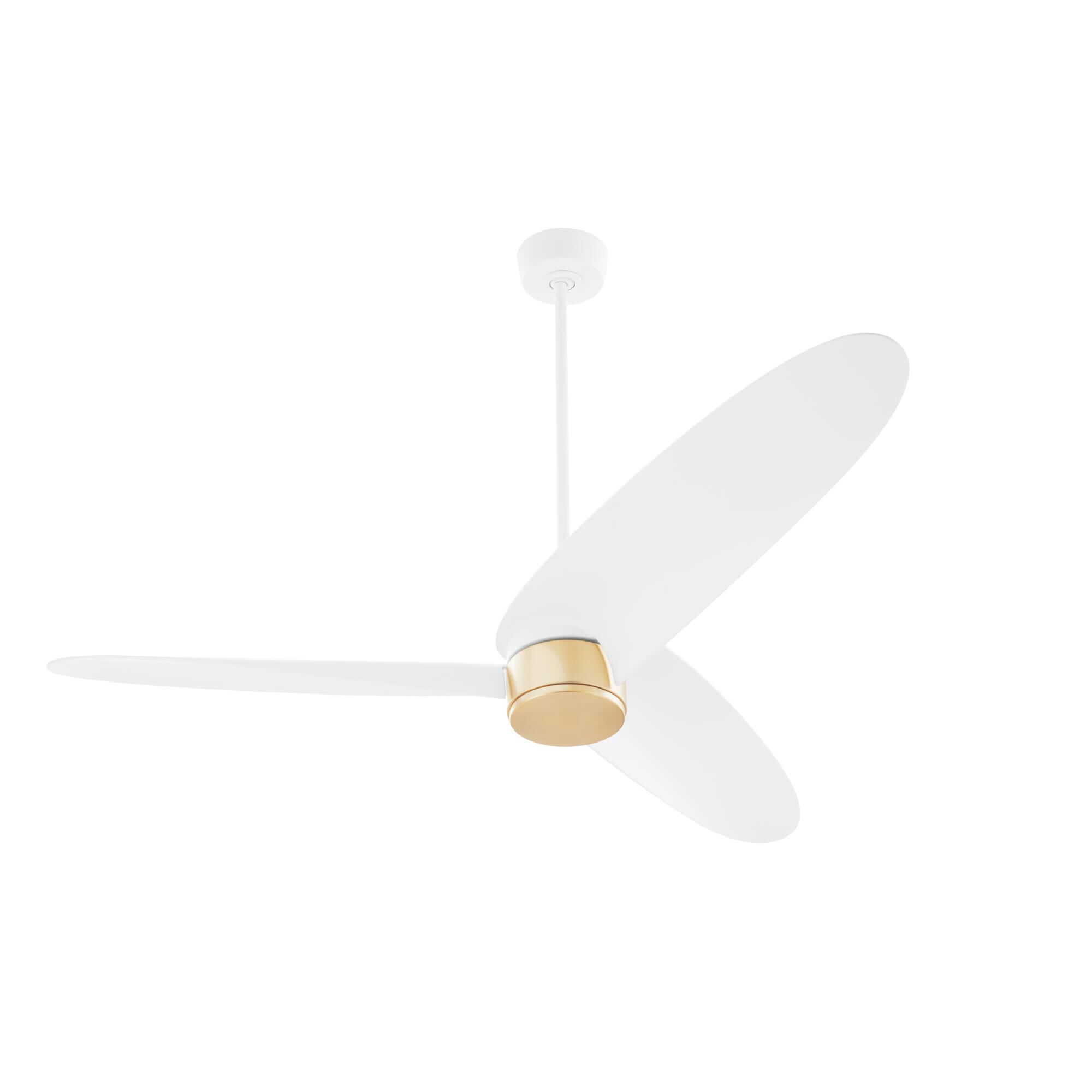 Brisa 60 Inch Ceiling Fan by Quorum International