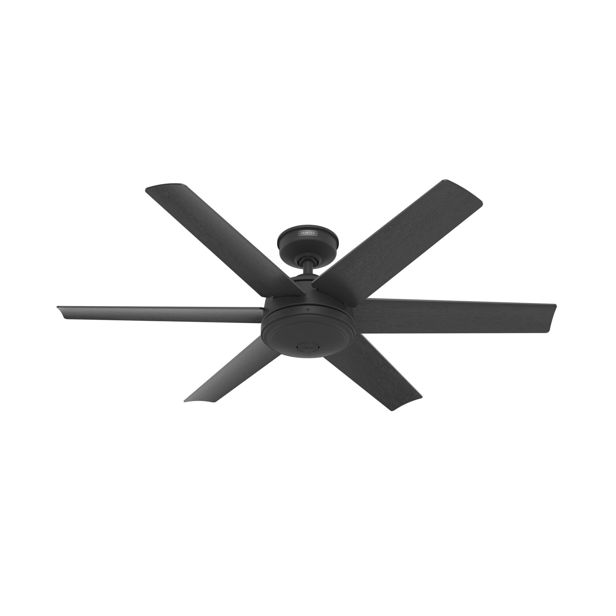 Jetty Ceiling Fan by Hunter Fan