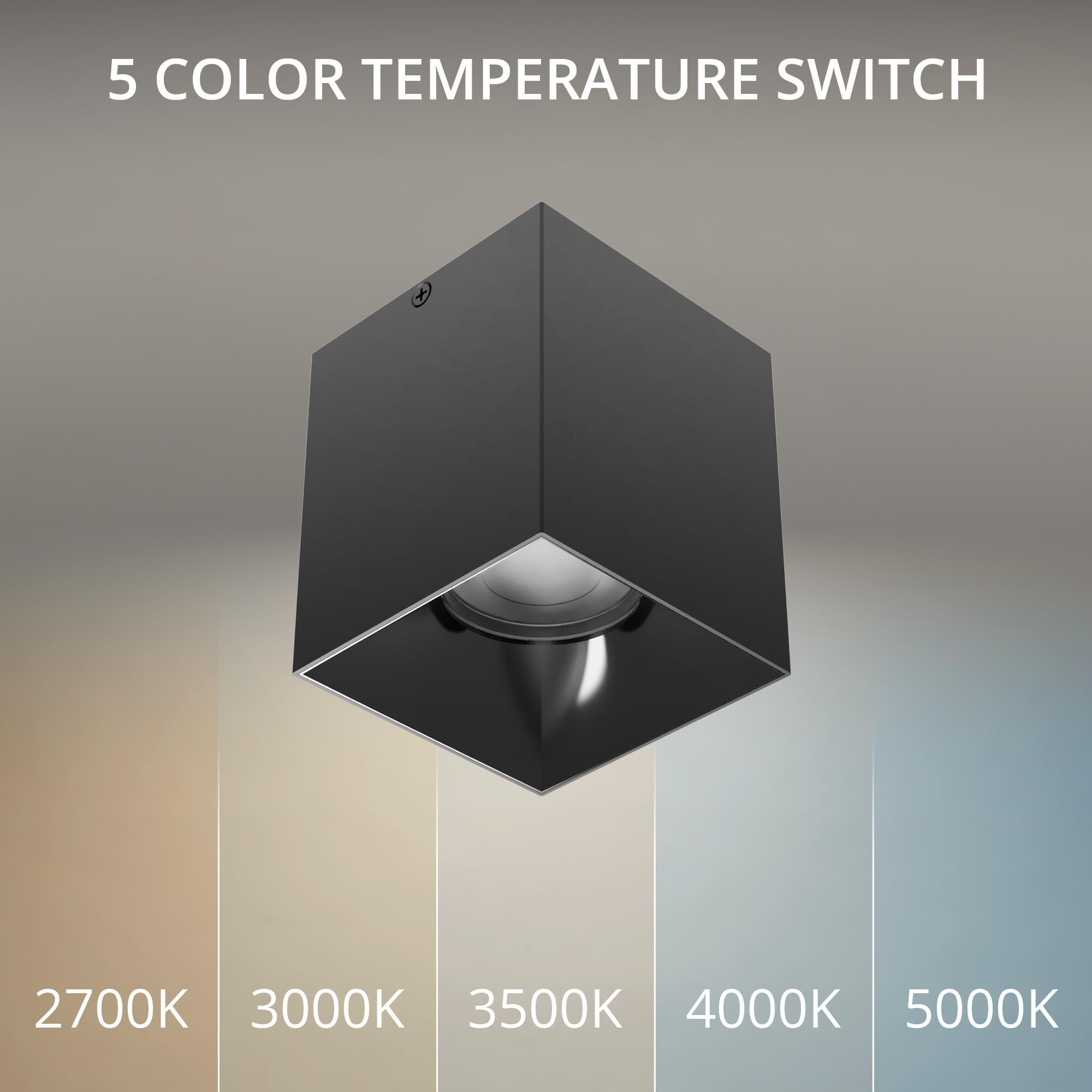 Zoron 4 Inch Outdoor Flush Mount by WAC Lighting