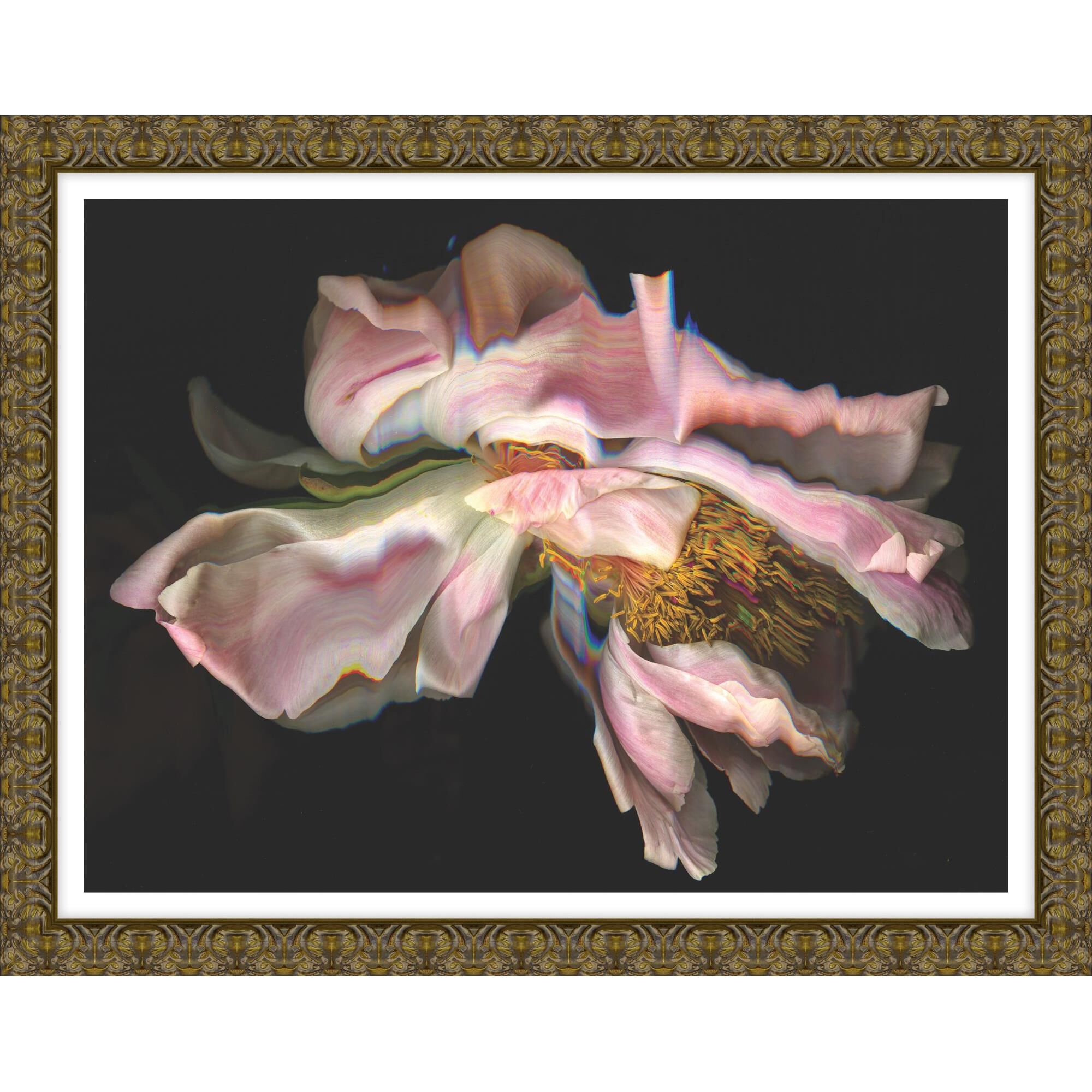 Kate Blacklock The Peony Dance Print by LEVEL57