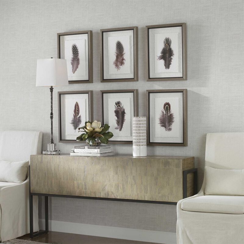 Uttermost Birds Of A Feather Framed Prints, S/6 Print by Uttermost