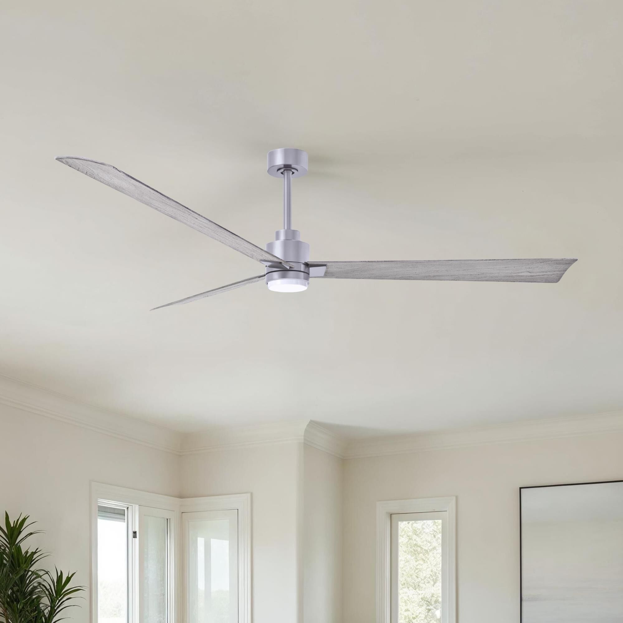 Alessandra 72 Inch Ceiling Fan by Matthews Fan Company