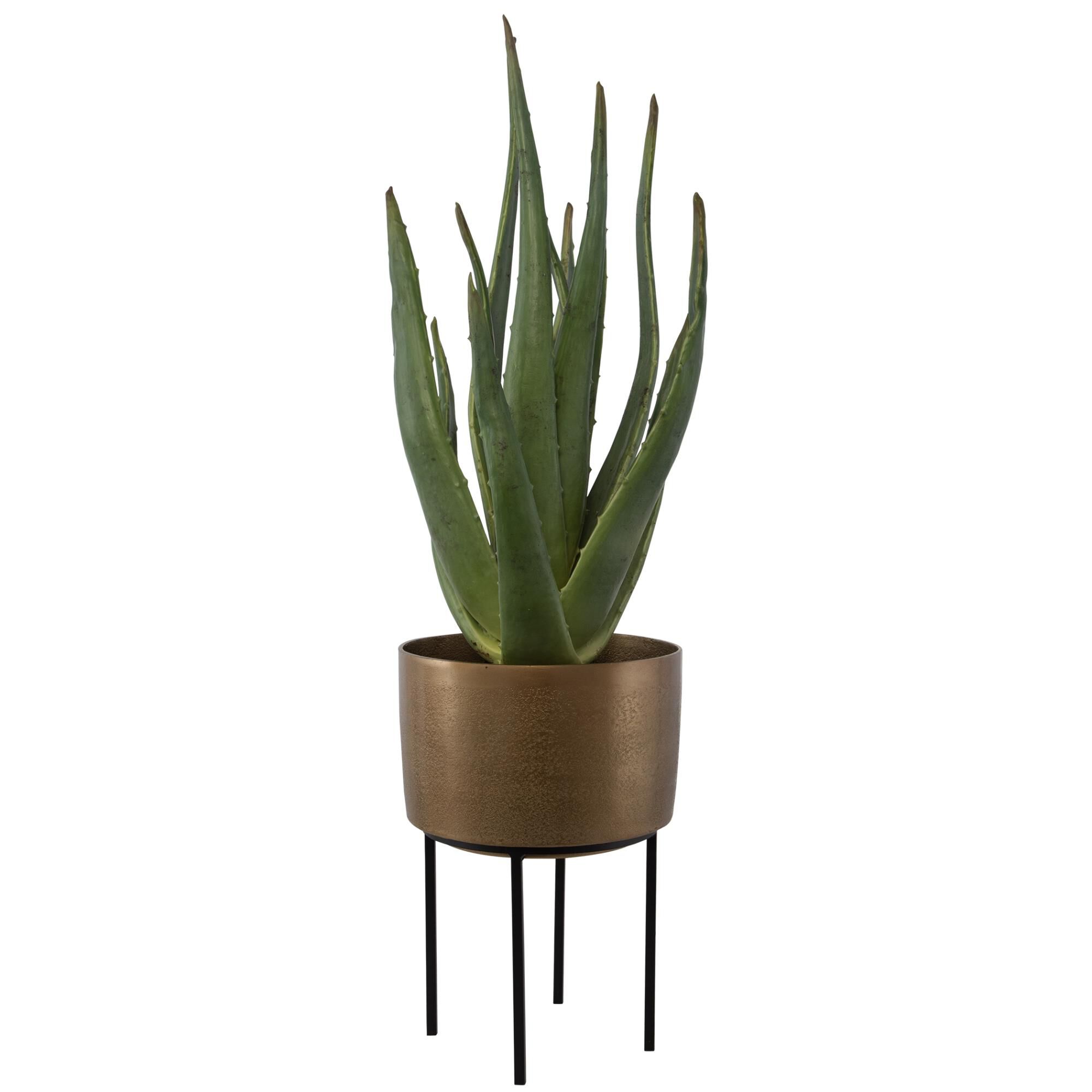 Arabia 37 Inch Botanical by Uttermost
