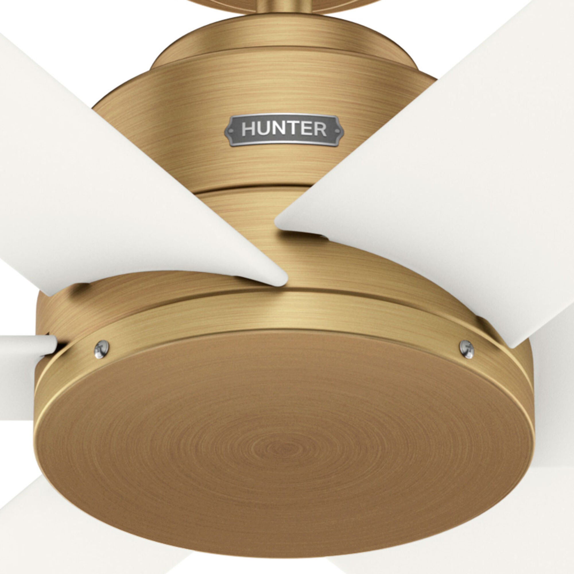 Kennicott 44 Inch Ceiling Fan,