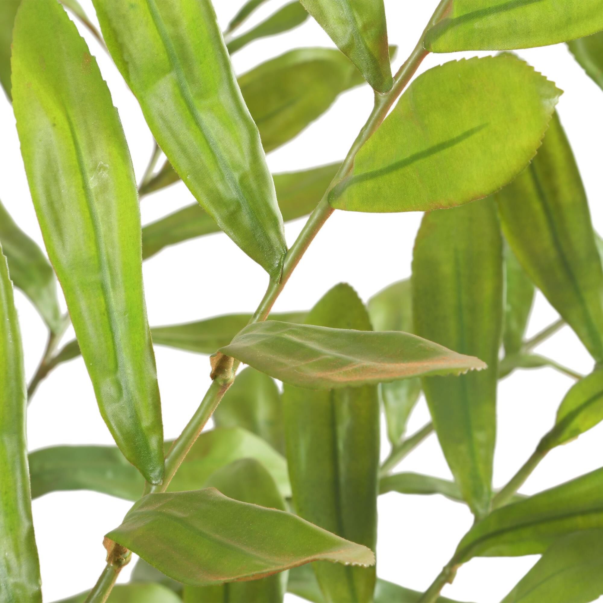 Constance Lael-Linyard Zamia 58 Inch Botanical by Uttermost