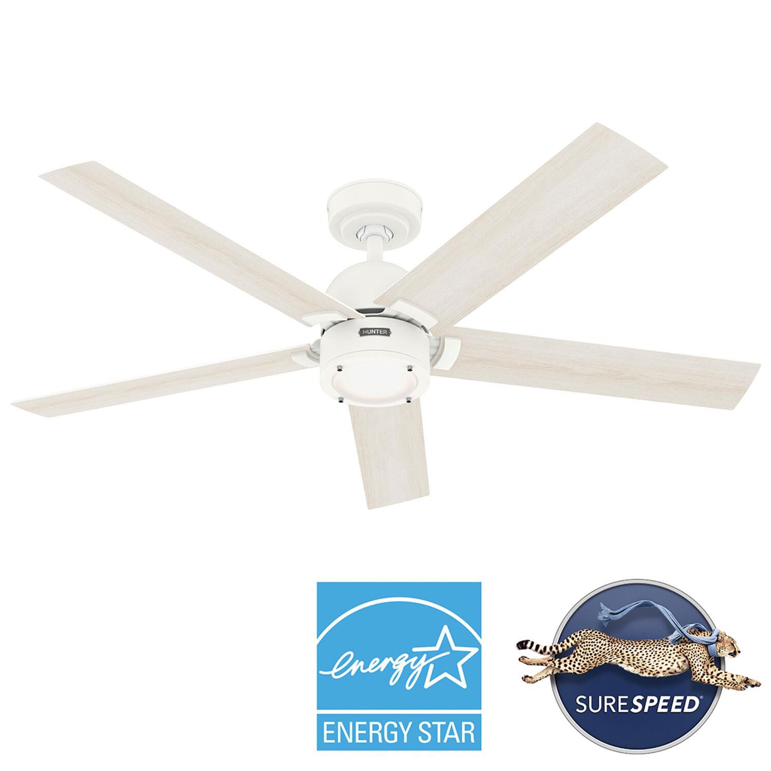 Erling 52 Inch Ceiling Fan by Hunter Fan